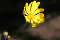 ​搞笑的话语 幽默搞笑的话语