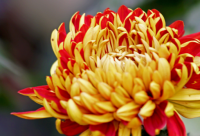 ​搞笑幽默的晚安问候语