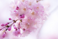 ​搞笑送别的话38句