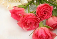 ​2025年最新超级搞笑笑话