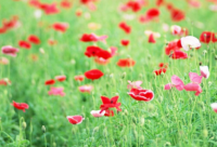 ​相当搞笑幽默风趣的短句(幽默风趣的搞笑短句)