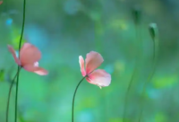 ​搞笑自动回复大全 系统自动回复文字内容搞笑