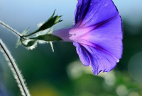 ​搞笑微信拍一拍可爱文字