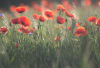 ​幽默搞笑的语句逗人开心 最搞笑的笑话