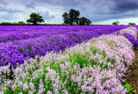 ​就能笑死人的话 搞笑的俏皮话精选