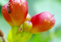 ​相当精辟幽默短句(有点搞笑的幽默短句)