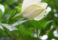 ​最新的搞笑问候语大全 搞笑问候语大全