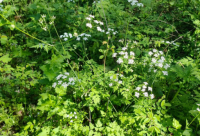 ​精选的晚安搞笑短信大全 晚安短信