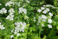 ​2025精彩而又幽默的搞笑段子