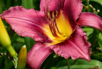 ​问候好朋友的搞笑短信大全