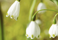 ​给几句夸人的搞笑的话