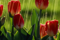 ​我见过的最搞笑幽默的话(搞笑幽默的话)