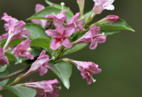 ​有关搞笑幽默俗语大全全集 幽默俗语大全