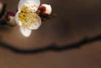 ​搞笑押韵顺口溜打油诗 过生日搞笑打油诗押韵