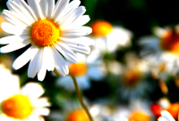 ​精选的搞笑的短信大全 搞笑短信大全