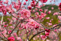 ​搞笑送别的话