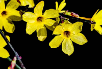 ​有哲理的搞笑句子