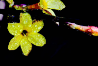 ​适合发快手的伤感语句 适合发快手的搞笑段子