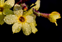 ​一句话的精辟搞笑段子64句