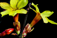 ​搞笑套路对话一问一答 沙雕套路一问一答