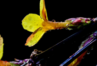 ​写给朋友的话搞笑版