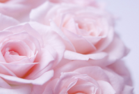 ​教师节半 教师节半搞笑