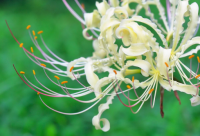 ​拍一拍有趣搞笑后缀文字