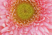 ​霸气搞笑个性句子