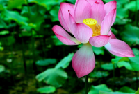 ​拍一拍有趣搞笑后缀文字 搞笑有趣的拍一拍