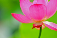 ​搞笑暧昧的话