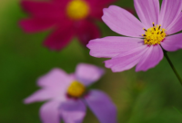 ​祝朋友生日快乐简短搞笑