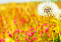 ​搞笑语句笑死人话