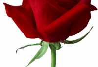 ​最新搞笑幽默短信