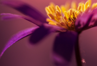 ​搞笑的七夕语句