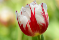 ​写给男朋友搞笑的话