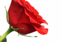 ​调侃人的青春搞笑句子