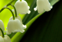 ​秋裤搞笑句子67句