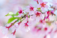 ​生活的搞笑句子