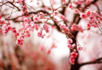 ​给教官的离别赠言搞笑