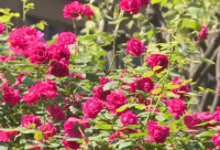 ​毕业留言短句10字搞笑64句