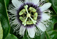 ​情人节微信搞笑句子