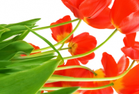 ​最幽默搞笑的半 最幽默搞笑的半校园