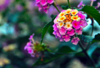 ​最近很火的打工人文案(搞笑打工人文案)