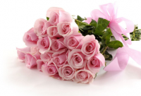 ​2025很实际的搞笑歇后语 搞笑歇后语