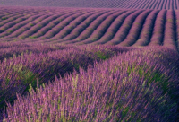 ​最能打动人心的早安问候(几个字的搞笑早安问候)