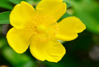 ​愚人节搞笑短信心语