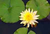 ​搞笑初中好词佳句