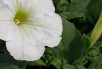 ​幽默搞笑的一段话