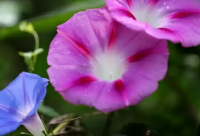 ​滑稽搞笑句子