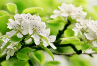 ​开心幽默的搞笑短文案